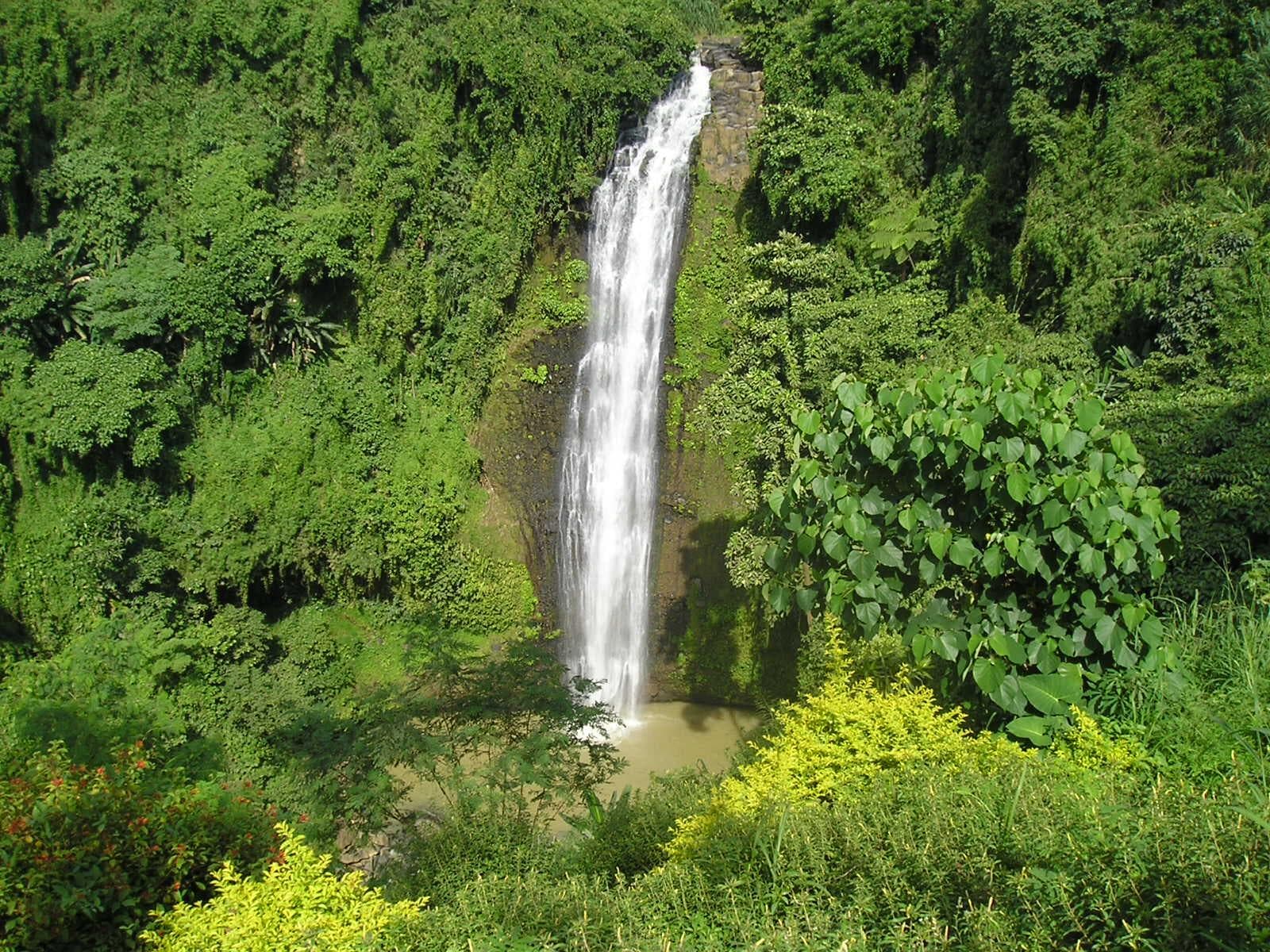 Alalum Falls in Sumilao, Bukidnon