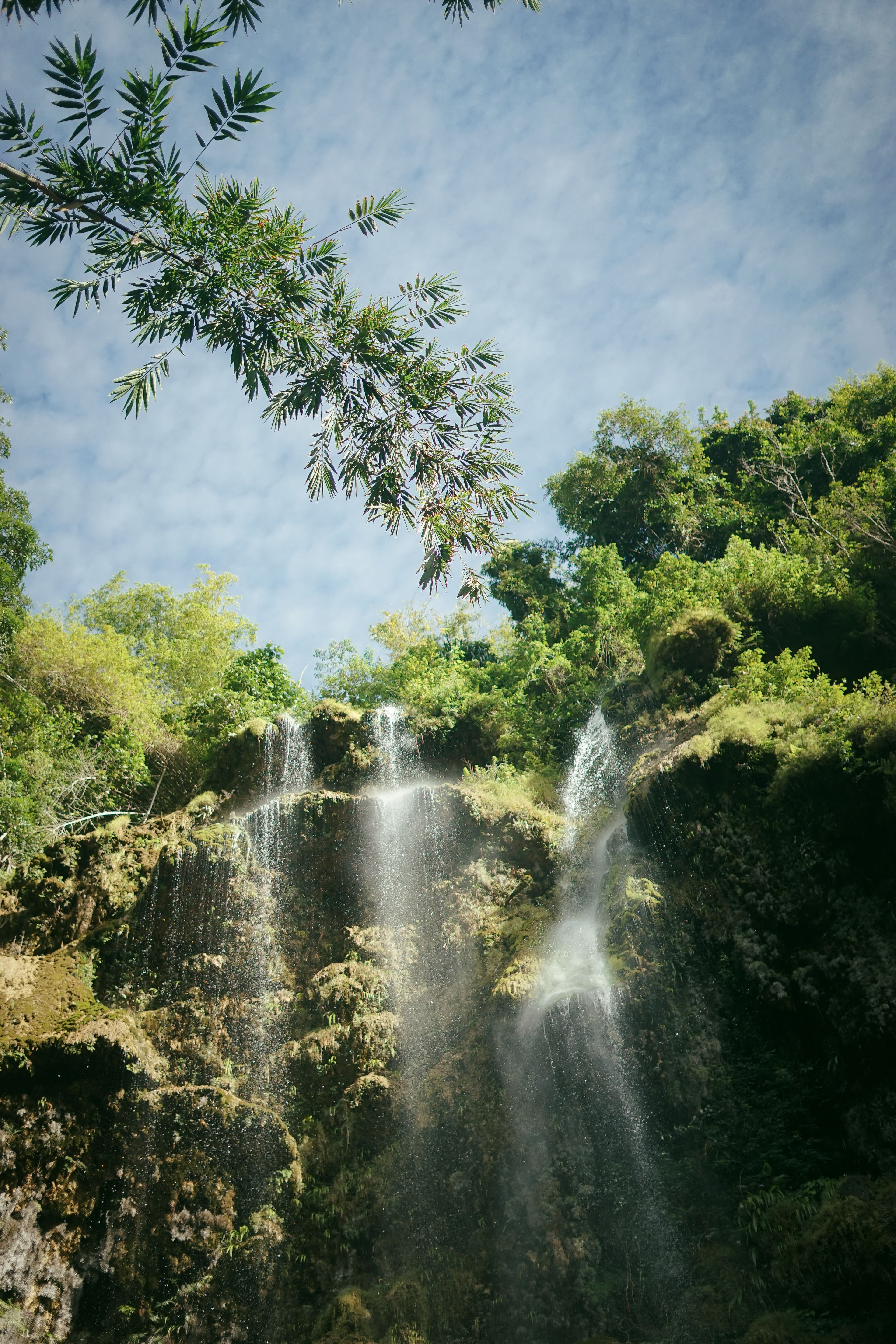 Tumalog Falls in Oslob, Cebu